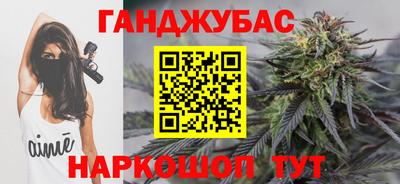 крисы Можга