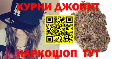 крисы Можга