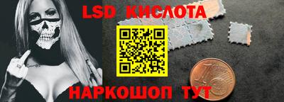 крисы Можга