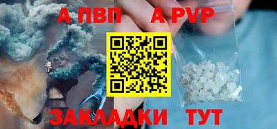 крисы Можга