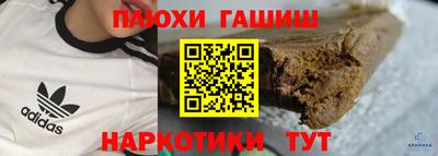 крисы Можга