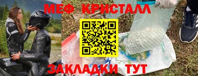 крисы Можга