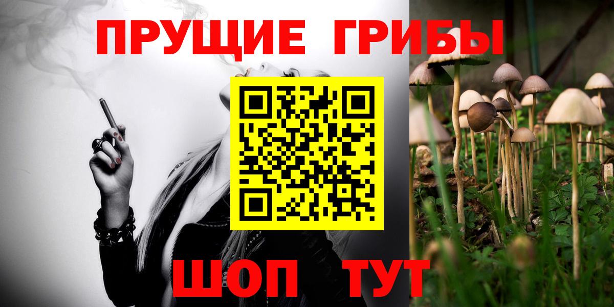 Сокол  Псилоцибиновые грибы MAGIC MUSHROOMS  Вход с VPN 